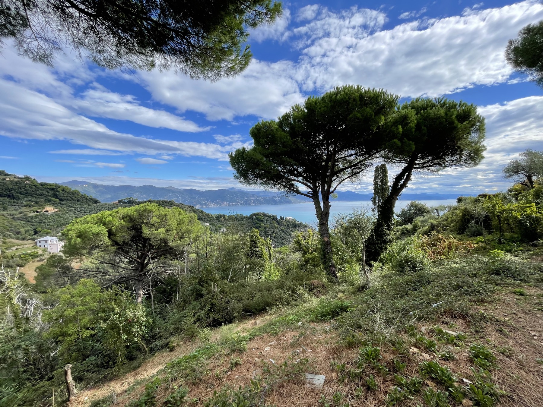 Belvedere di Portofino sulla costa ligure