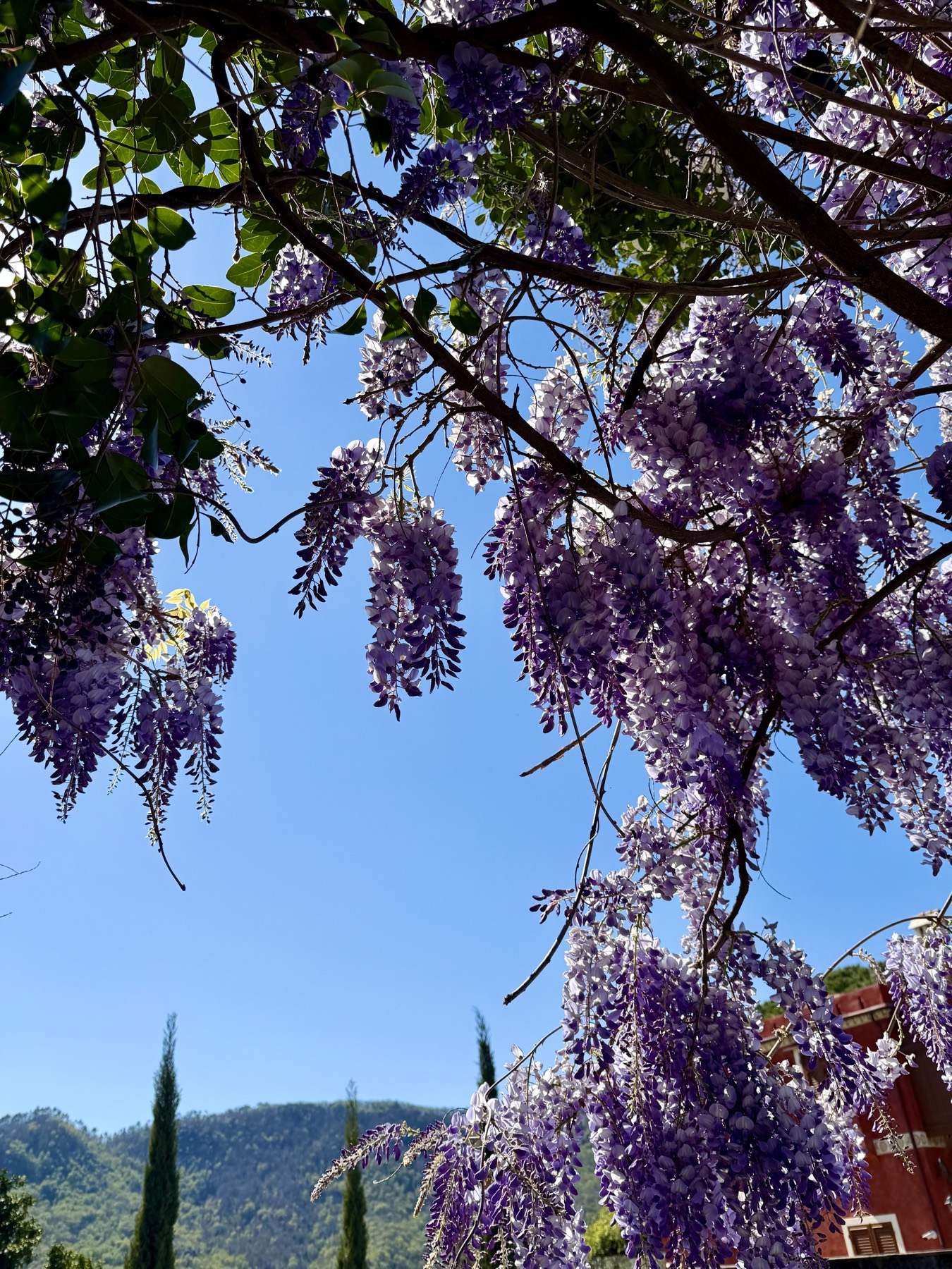 Santa Margherita Ligure con vista mare e percorsi trekking