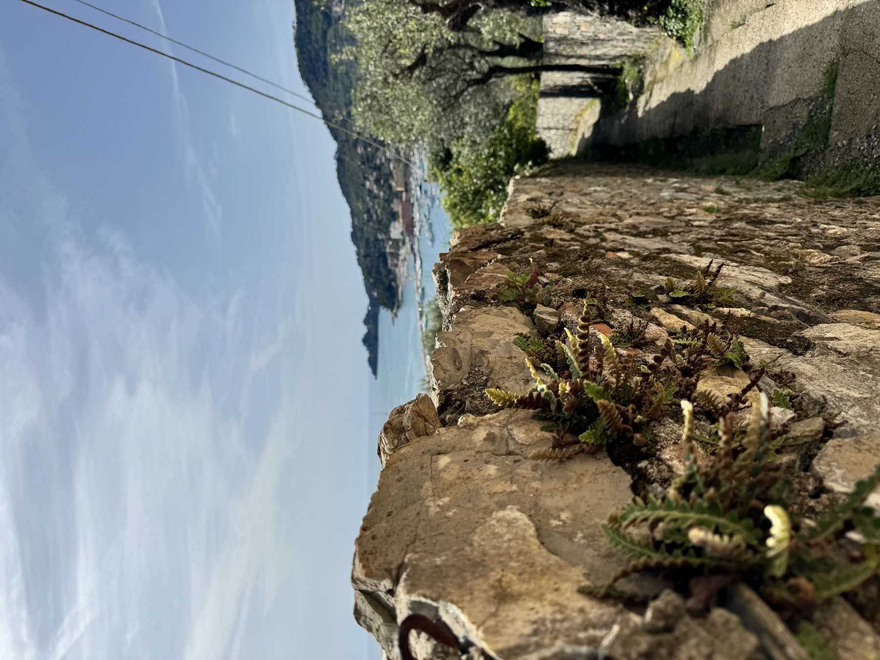 Passeggiata sul mare a Santa Margherita